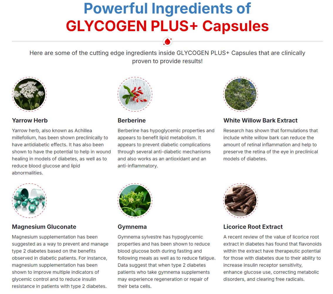 Glycogen Plus